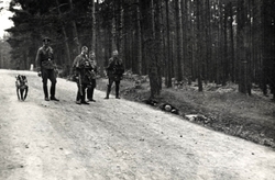 Niemcy z aresztowanymi mieszkańcami wsi, Michniów, 12 VII 1943 r. [ze zbiorów IPN]