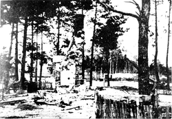 Spalona wieś Michniów, lipiec 1943 r. [ze zbiorów IPN]