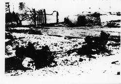 Szczątki ofiar pacyfikacji. Zdjęcia z zabudowań rodziny Gilów, Michniów, lipiec 1943 r. [ze zbiorów IPN]